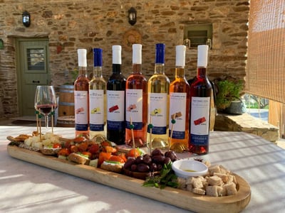 Naxos wine tour & tasting