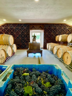 Evora & The Alentejo Table