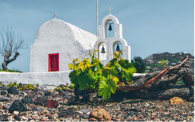 Santorini premium wine tasting - Private tour